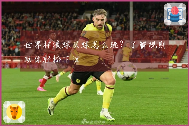 世界杯滚球买球怎么玩？了解规则助你轻松下注