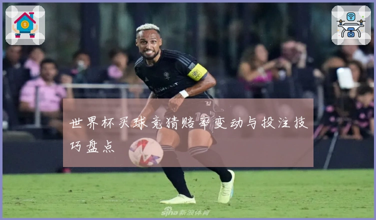 世界杯买球竞猜赔率变动与投注技巧盘点