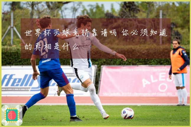 世界杯买球竞猜靠谱吗 你必须知道的真相是什么