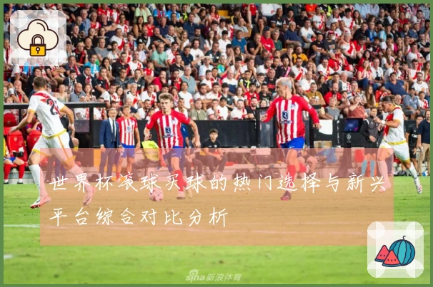 世界杯滚球买球的热门选择与新兴平台综合对比分析