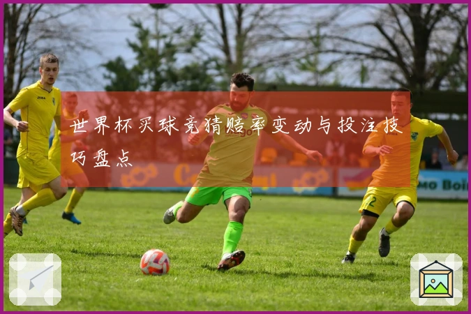 世界杯买球竞猜赔率变动与投注技巧盘点