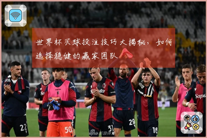 世界杯买球投注技巧大揭秘，如何选择稳健的赢家团队